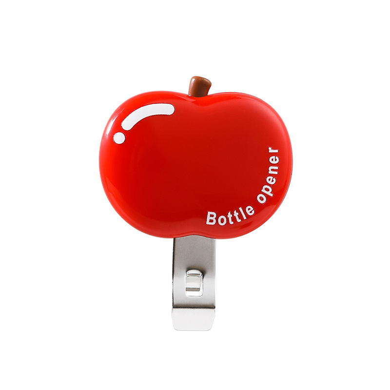 Multifunctional magnetic bottle opener
