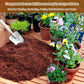 🌱Hot Sale 49% OFF⏰ - Premium Organic Coconut Coir Bricks For Plants