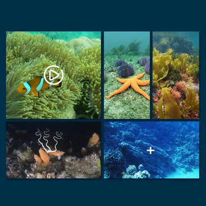 49% off this week! 🎉🎉 MantaVision – The app-controlled surface drone for exploring bodies of water