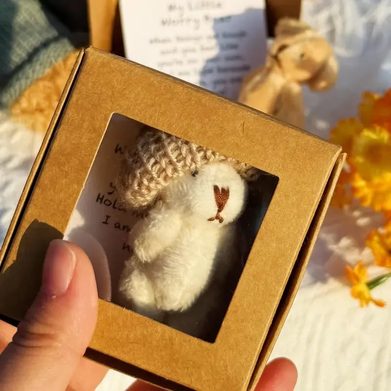 🐻LAST DAY Buy 2 Get 1 Free🎁Handmade Mini Plush Teddy Bear in Box