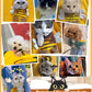 📢📢50% OFF !! ⏰Cute Dew Head Shape Cat Bag - Pets Carrier Bag