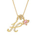 💖Initial Letter Necklace with Pink Heart Charm✨