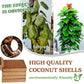 🌱Hot Sale 49% OFF⏰ - Premium Organic Coconut Coir Bricks For Plants