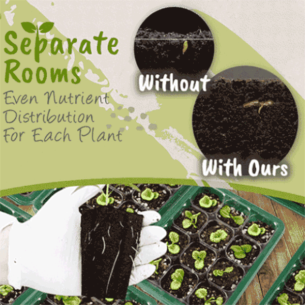 🔥HOT Sale 49%OFF - ✨️Adjustable Humidity Seed Starter Trays