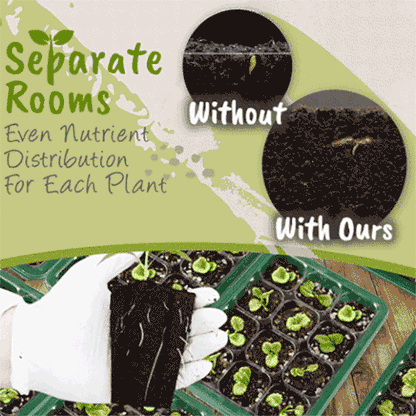 🔥HOT Sale 49%OFF - ✨️Adjustable Humidity Seed Starter Trays