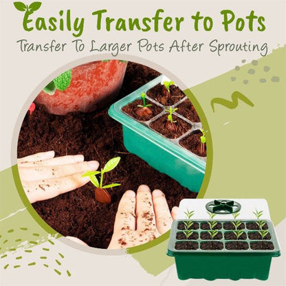 🔥HOT Sale 49%OFF - ✨️Adjustable Humidity Seed Starter Trays
