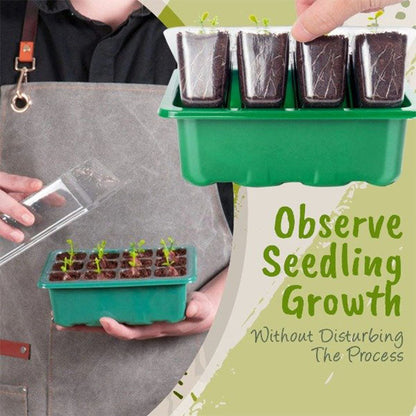 🔥HOT Sale 49%OFF - ✨️Adjustable Humidity Seed Starter Trays