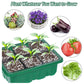 🔥HOT Sale 49%OFF - ✨️Adjustable Humidity Seed Starter Trays