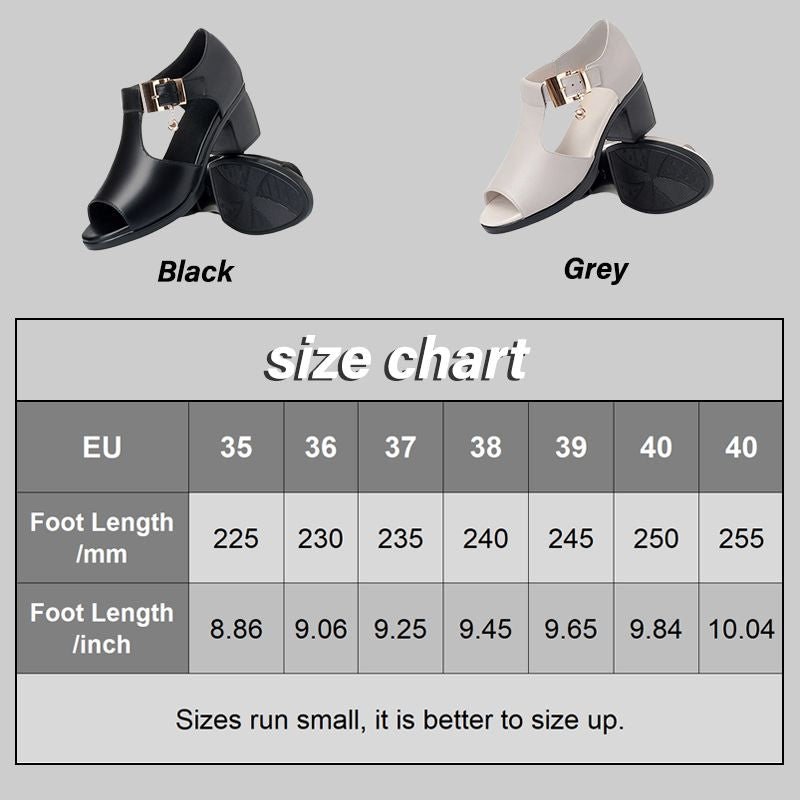 🎉Hot Sale 49% OFF🎉Women's All-match Chunky Heel Casual Sandals