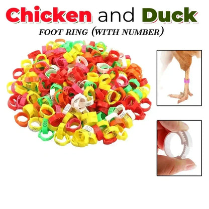 📢📢50% OFF !! ⏰Adjustable Snap-On Poultry Leg Bands