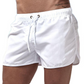 🌊 Men's Quick-Dry Swim Shorts – Lightweight Beach Shorts with Elastic Waist for Vacation, Pool & Summer