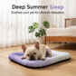 🎁Time-Sensitive Exclusive Deal!❄️Cooling Gel Mat for Pets – No refrigeration needed, instant heat relief. Breathable, non‑toxic. Helps pets sleep cool all summer!